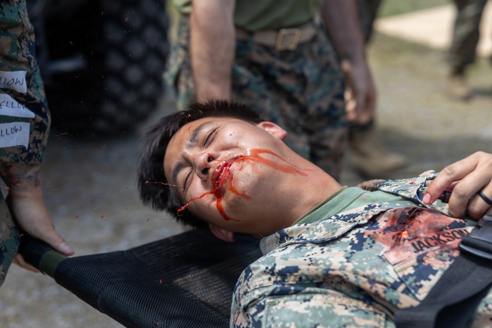 3rd Medical Battalion Mass Casualty Training