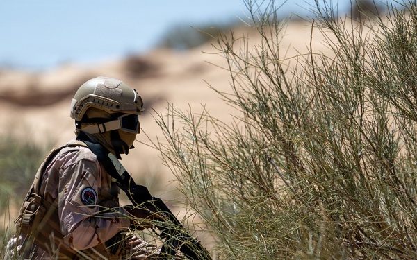 Multinational forces assault shoreline objective during Flintlock 2026