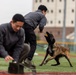 K9 Crucible: Dogs Duke it Out During 2026 CMWDD-K Combined Joint Military Working Dog Competition