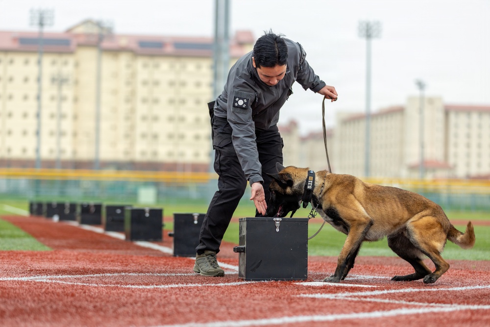 K9 Crucible: Dogs Duke it Out During 2026 CMWDD-K Combined Joint Military Working Dog Competition