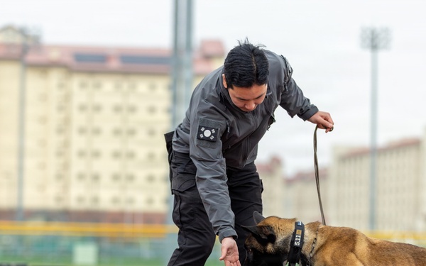 K9 Crucible: Dogs Duke it Out During 2026 CMWDD-K Combined Joint Military Working Dog Competition