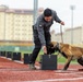 K9 Crucible: Dogs Duke it Out During 2026 CMWDD-K Combined Joint Military Working Dog Competition