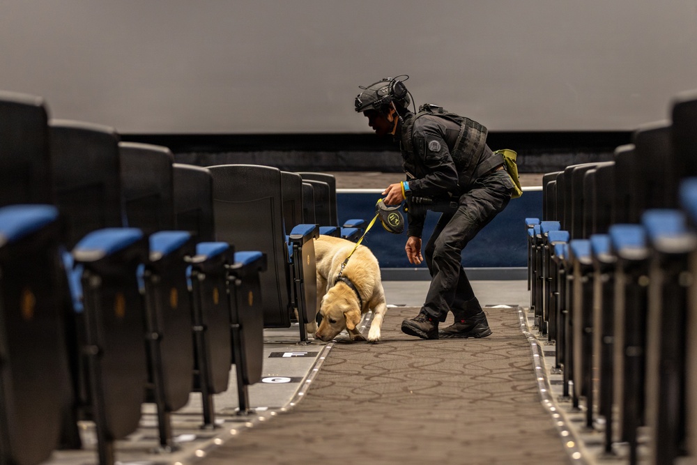 K9 Crucible: Dogs Duke it Out During 2026 CMWDD-K Combined Joint Military Working Dog Competition