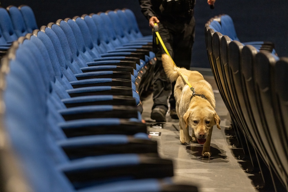 K9 Crucible: Dogs Duke it Out During 2026 CMWDD-K Combined Joint Military Working Dog Competition