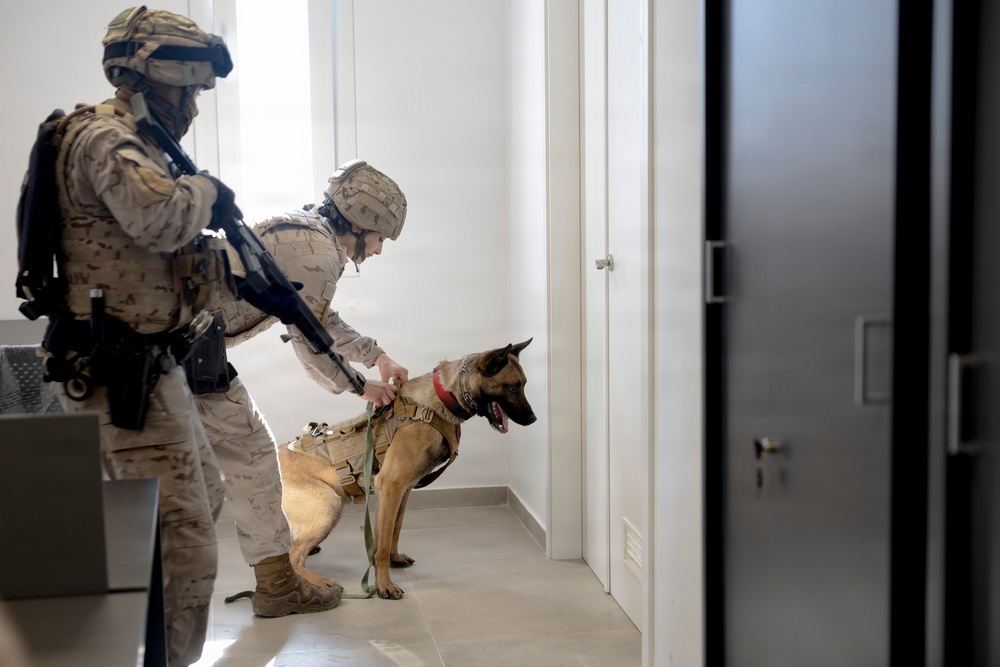 U.S. Navy MWD Bilateral Exercise