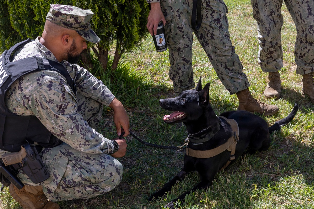 U.S. Navy MWD Bilateral Exercise