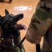 New Sgt. Stubby Statue Unveiled in Hartford Honors Connecticut Military Heritage