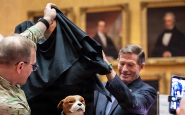 New Sgt. Stubby Statue Unveiled in Hartford Honors Connecticut Military Heritage