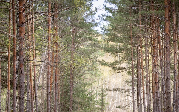 7th MSC Soldiers Compete in Best Squad Competition