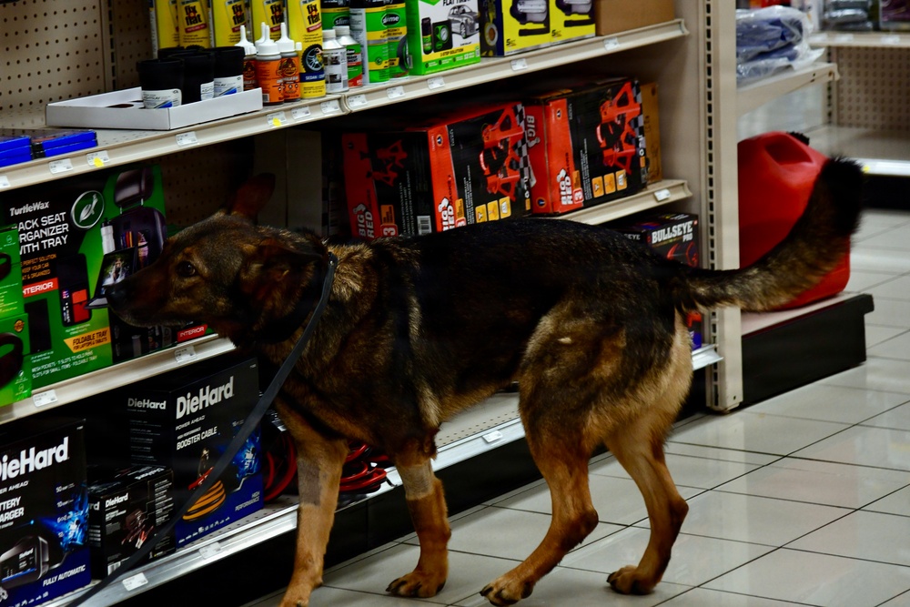 Military Working Dogs Sharpen Skills at Naval Air Station Jacksonville's Navy Exchange