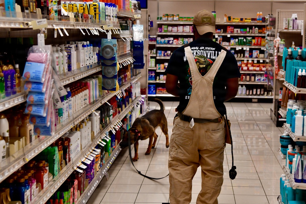 Military Working Dogs Sharpen Skills at Naval Air Station Jacksonville's Navy Exchange