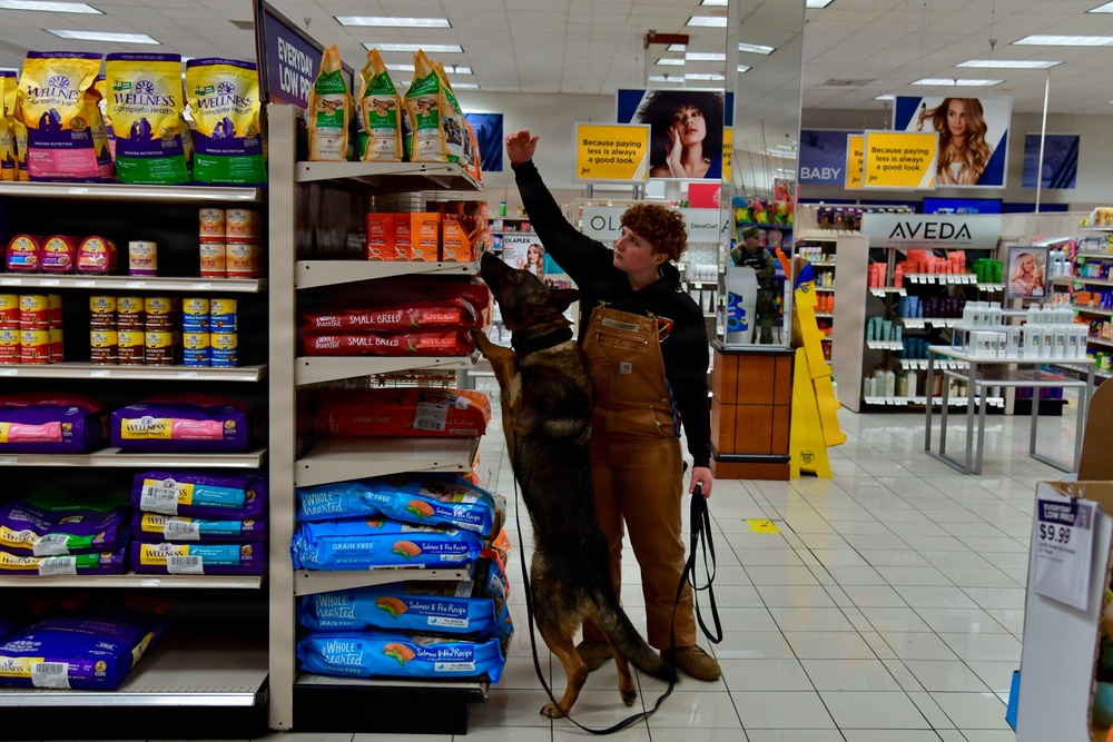 Military Working Dogs Sharpen Skills at Naval Air Station Jacksonville's Navy Exchange