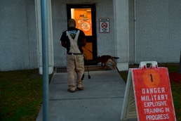 Military Working Dogs Sharpen Skills at Naval Air Station Jacksonville's Navy Exchange