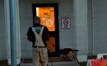 Military Working Dogs Sharpen Skills at Naval Air Station Jacksonville's Navy Exchange