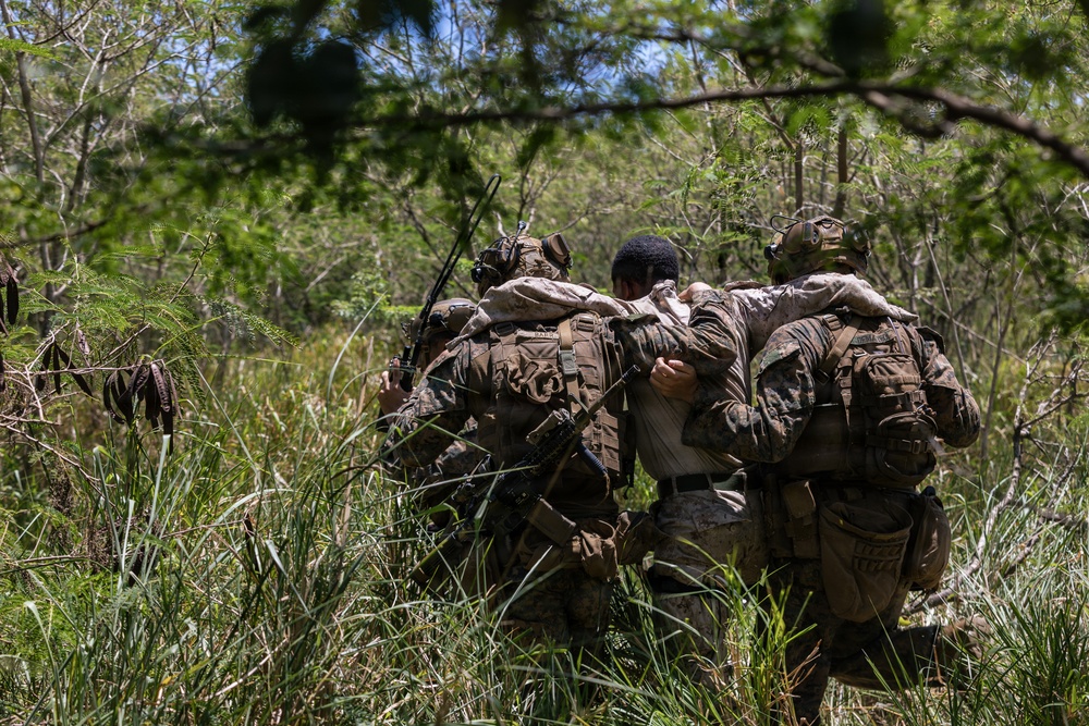 22nd MEU (SOC) | LAR Conducts TRAP Training at Camp Santiago