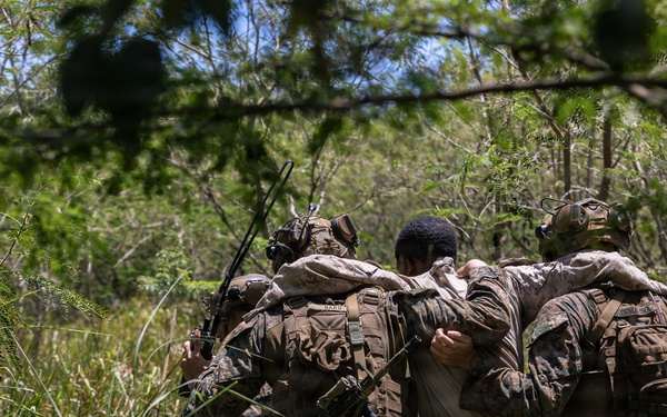 22nd MEU (SOC) | LAR Conducts TRAP Training at Camp Santiago