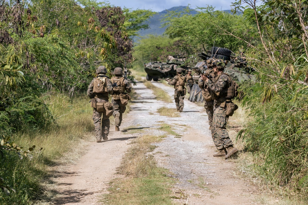 22nd MEU (SOC) | LAR Conducts TRAP Training at Camp Santiago