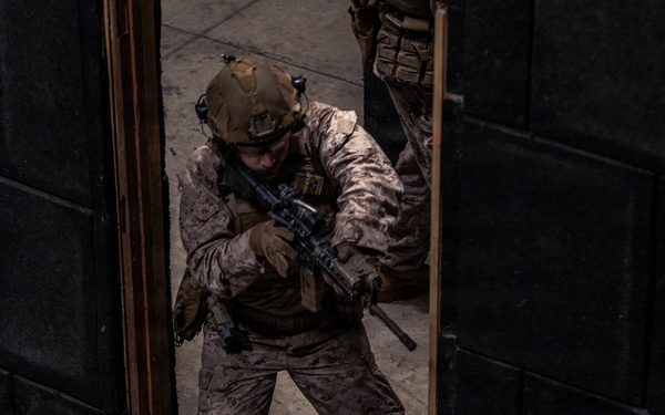 22nd MEU (SOC) | LAR Conducts a Live-fire Shoot House at Camp Santiago