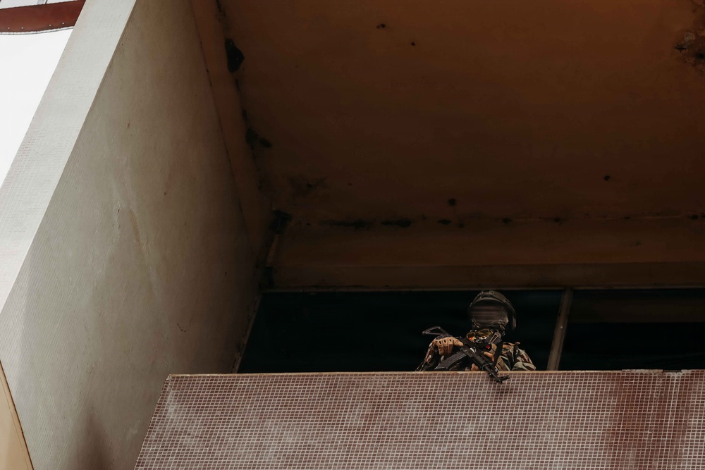 U.S., Cameroonian forces execute raid on radar tower during Flintlock 26