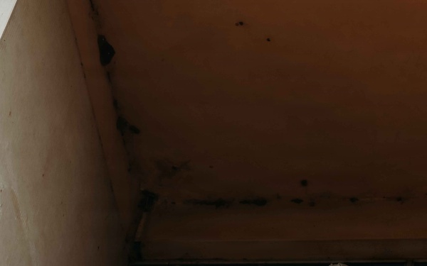 U.S., Cameroonian forces execute raid on radar tower during Flintlock 26