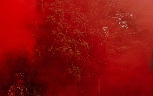 U.S., Cameroonian forces execute raid on radar tower during Flintlock 26