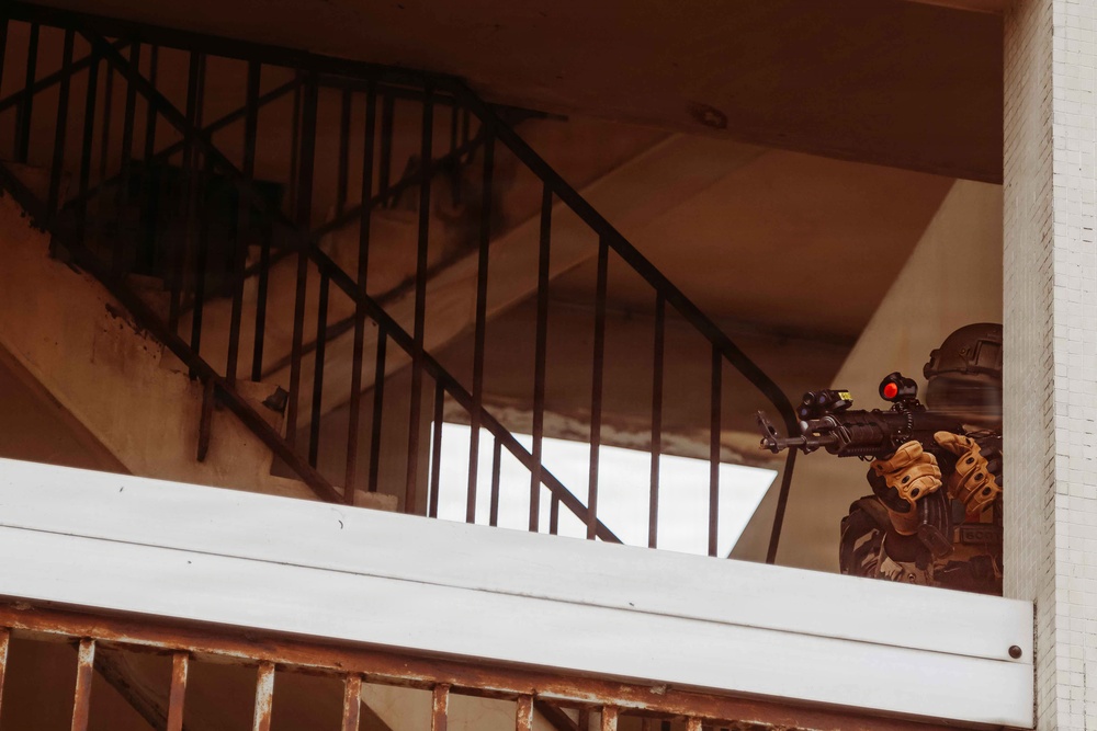 U.S., Cameroonian forces execute raid on radar tower during Flintlock 26