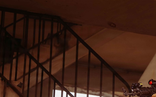 U.S., Cameroonian forces execute raid on radar tower during Flintlock 26