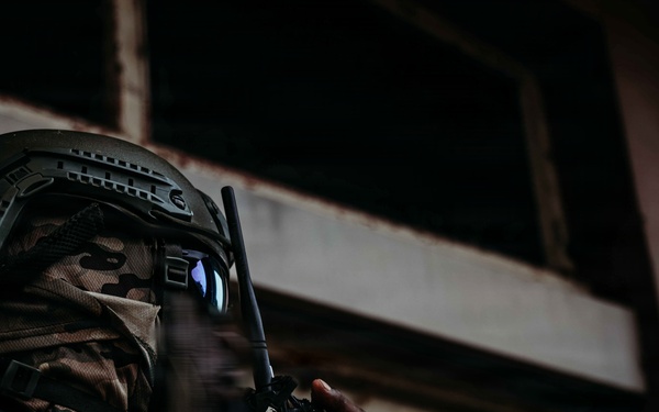 U.S., Cameroonian forces execute raid on radar tower during Flintlock 26