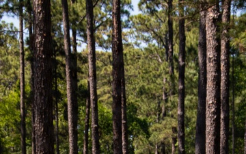 Charlie Company Land Navigation