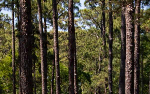 Charlie Company Land Navigation