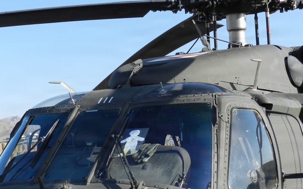Flat Stanley on a UH-60