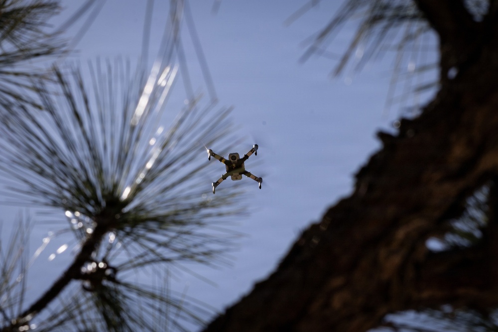 Bumblebee Drone Pilot Manually Intercepts Practice Target