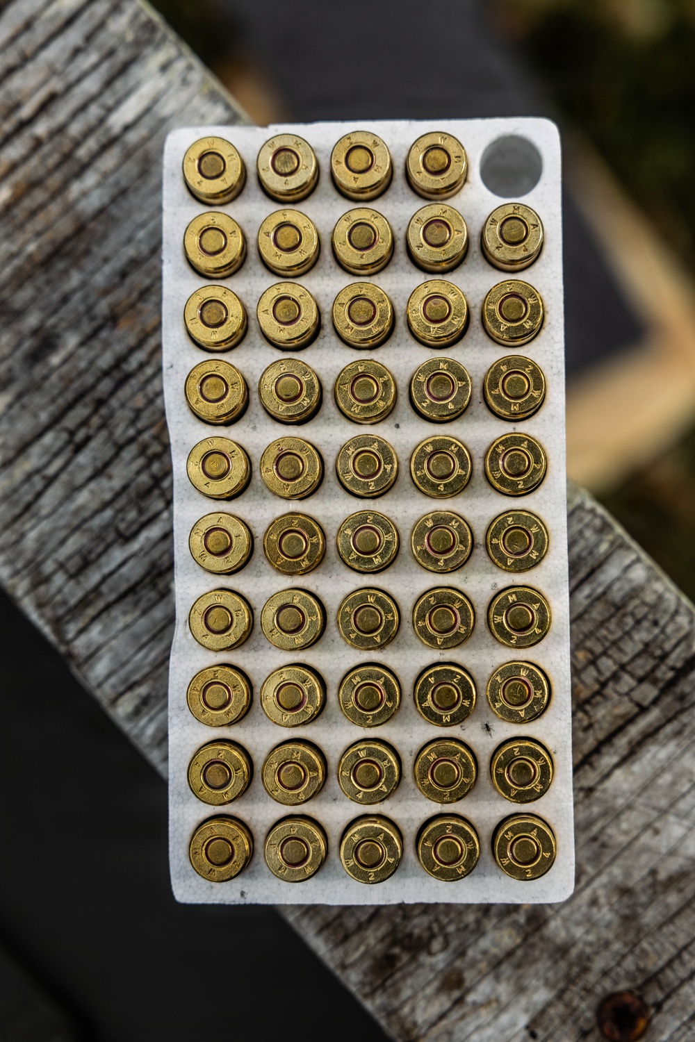 Tri-Command Action Pistol Match