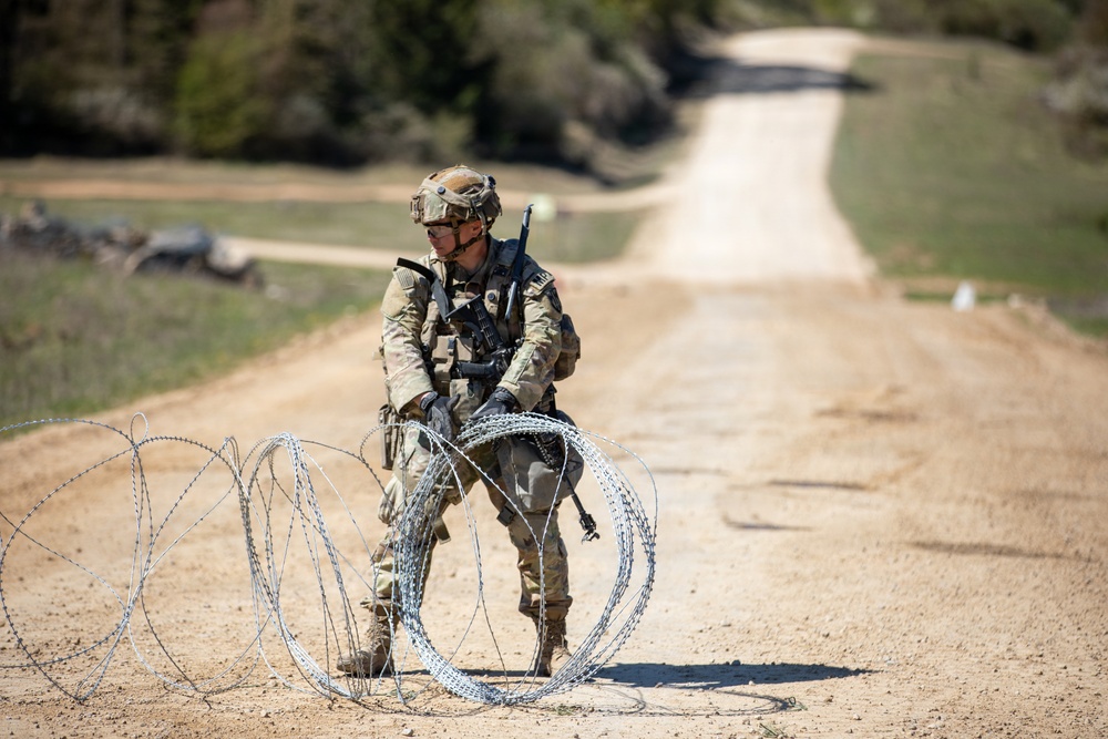 Military Police Participate in Combined Resolve 2026