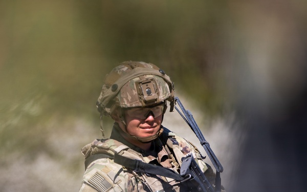 Military Police Participate in Combined Resolve 2026