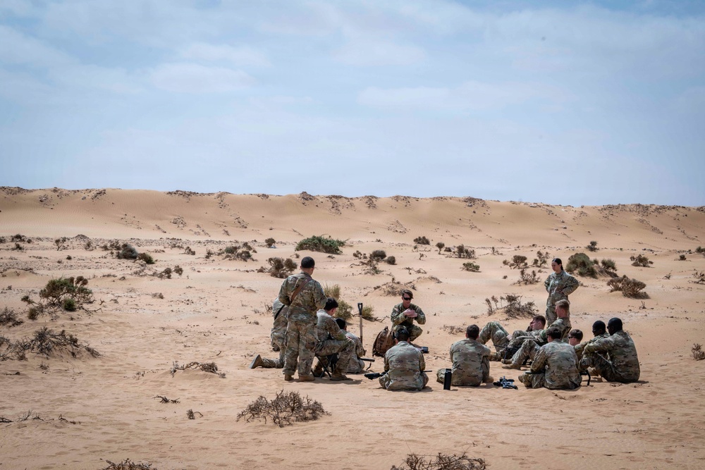 173rd Airborne Brigade combat engineers sharpen IED detection, threat mitigation skills