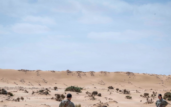 173rd Airborne Brigade combat engineers sharpen IED detection, threat mitigation skills