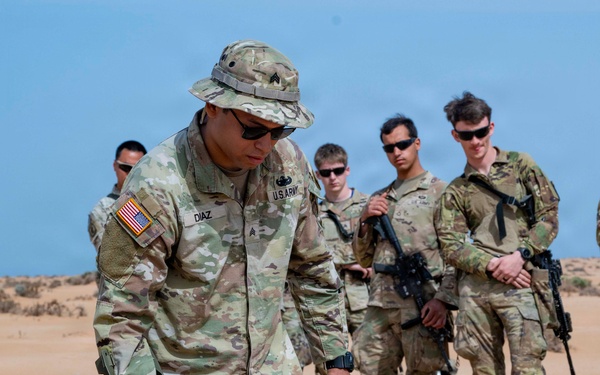 173rd Airborne Brigade combat engineers sharpen IED detection, threat mitigation skills