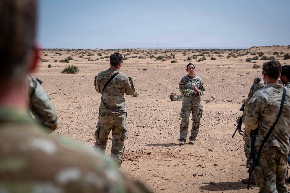 173rd Airborne Brigade combat engineers sharpen IED detection, threat mitigation skills