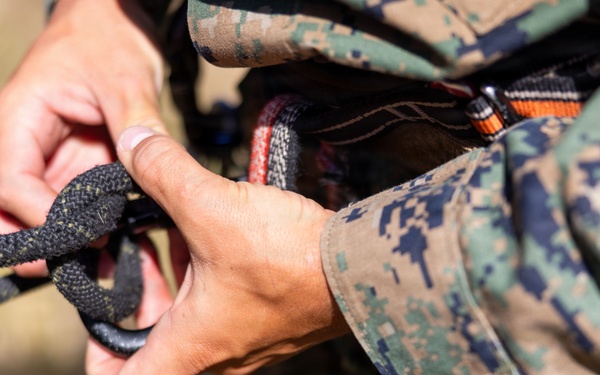 BLT 2/4 participates in Assault Climbers Course