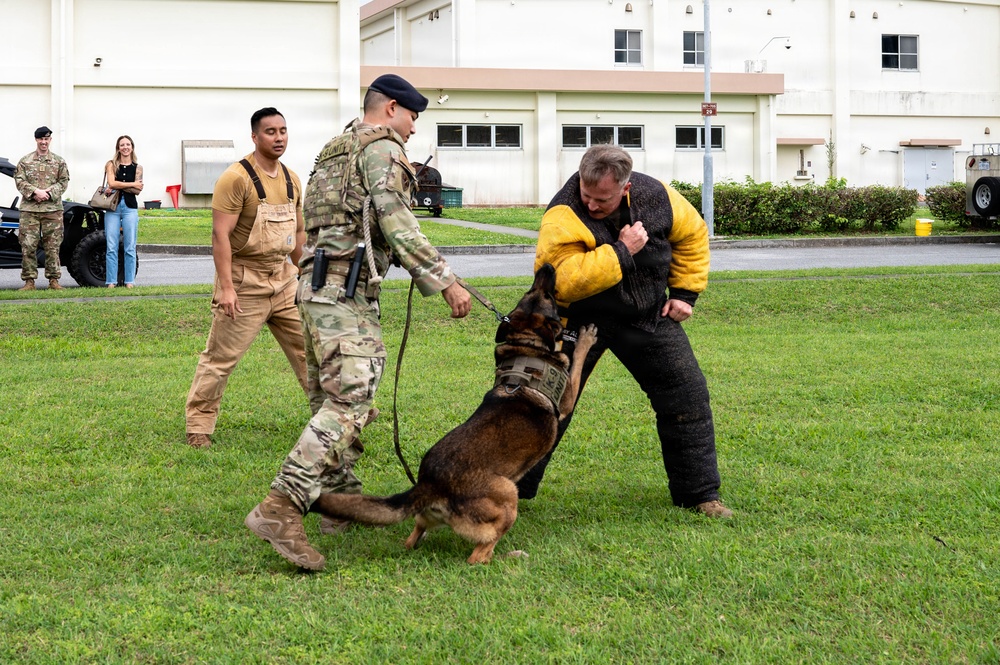 18th Wing command chief trains with military working dog teams
