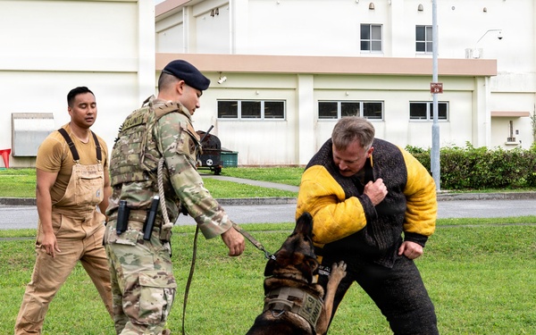 18th Wing command chief trains with military working dog teams