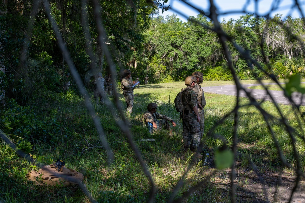 Ready Tiger strikes Avon Park