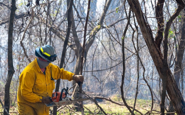 Fighting Fire with Fire