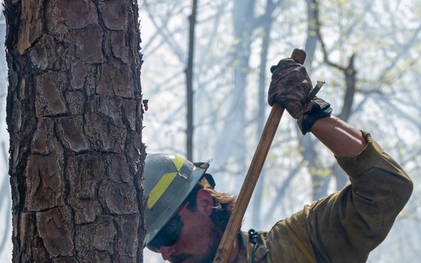 Fighting Fire with Fire