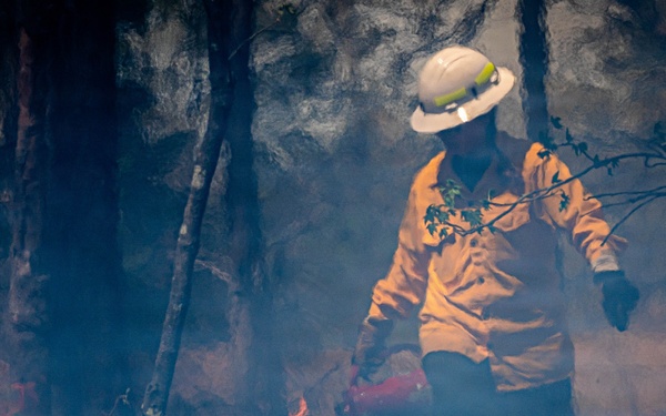 Fighting Fire with Fire