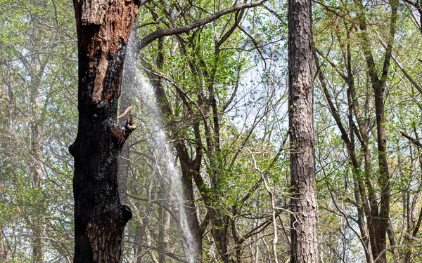 Fighting Fire with Fire