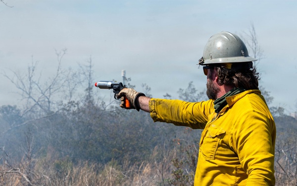 Fighting Fire with Fire