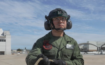 Devilfish hoist stricken aircraft