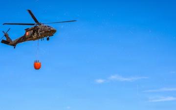 34th CAB Conducts 2026 Operation Burn Out with MNDNR at Camp Ripley